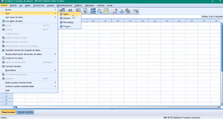Excel a SPSS paso 1